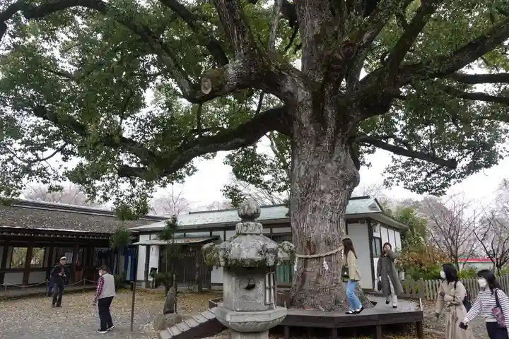 平野神社(京都府)
