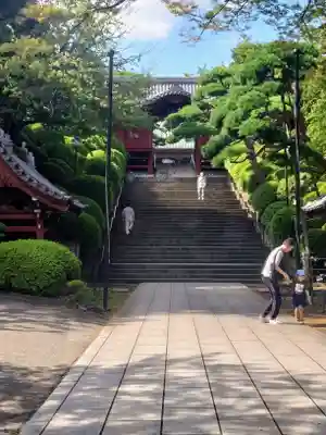 護国寺(東京都)