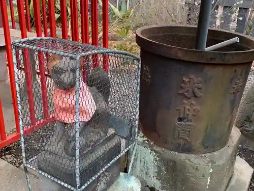 佐賀稲荷神社の狛犬