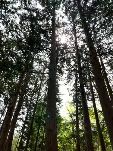 諏訪神社(山梨県)