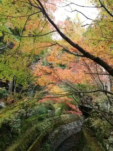 五所駒瀧神社の庭園