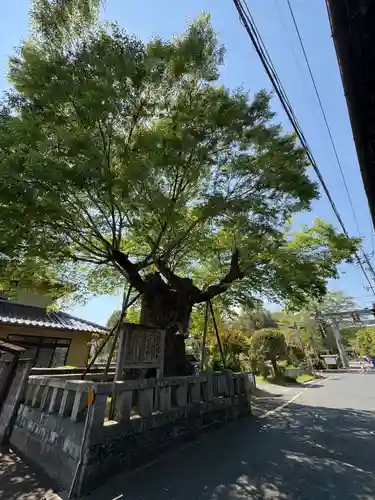中山神社(岡山県)
