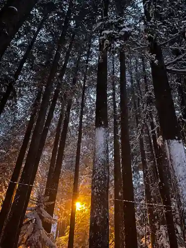 北海道神宮の自然