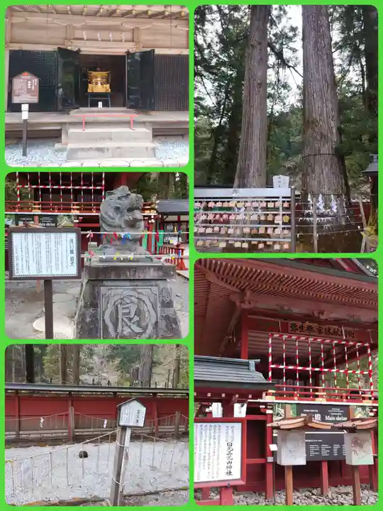 日光二荒山神社(栃木県)