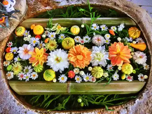 立志神社の手水舎