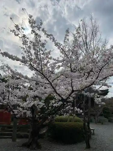 穴太寺(京都府)