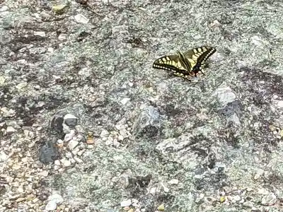 龍王神社(香川県)