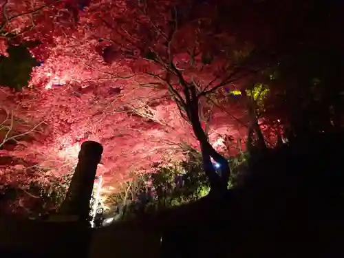 大山寺の自然