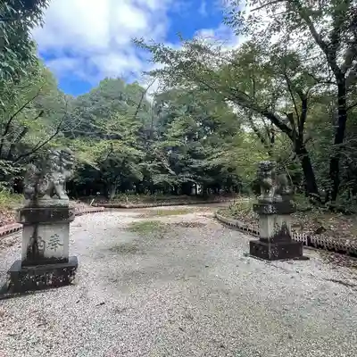八幡社(柏井町)の狛犬
