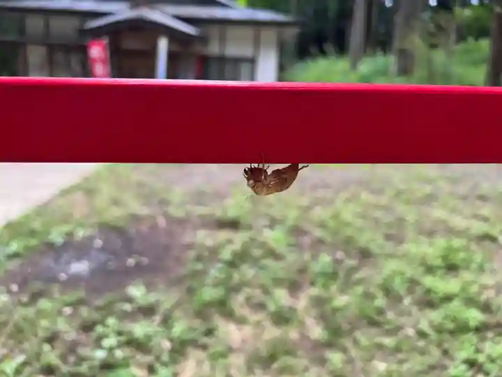 大宮温泉神社(栃木県)