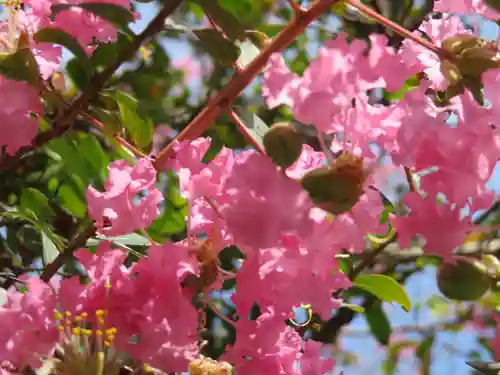 白羽神社の自然