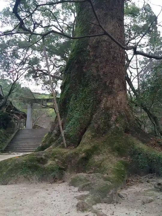仁比山神社(佐賀県)