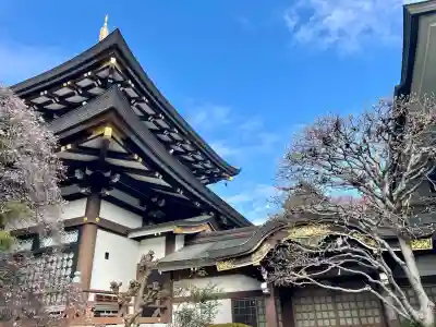 大義寺(東京都)