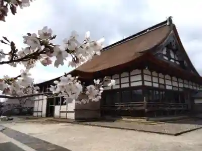 浄興寺(新潟県)