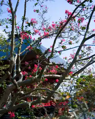 和光院(田島の血不動尊)(茨城県)