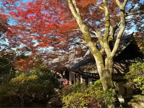 霊鑑寺門跡(京都府)