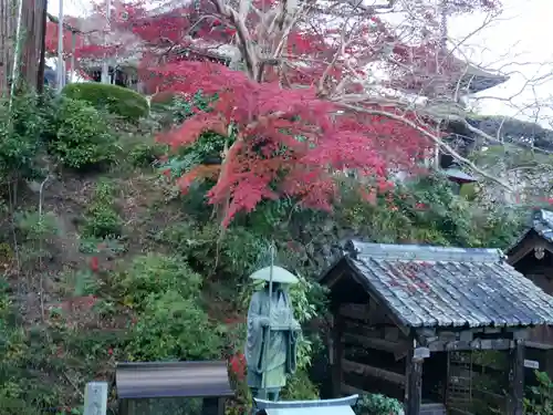 善峯寺の像