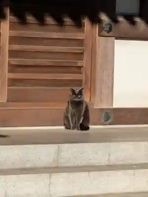 香念寺(東京都)