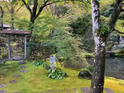 慈恩護国禅寺(岐阜県)