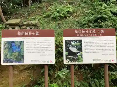 猿田神社(千葉県)