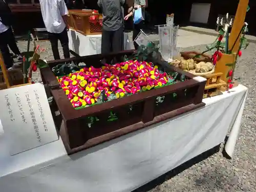 川越氷川神社のおみくじ