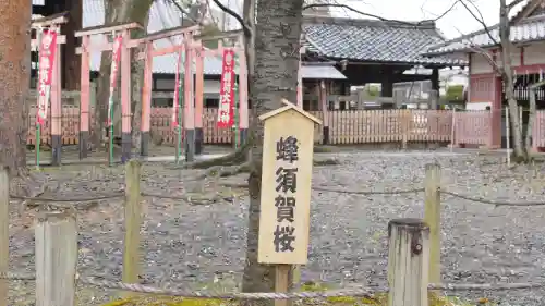 豊国神社の自然