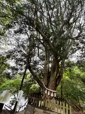 安房神社(千葉県)