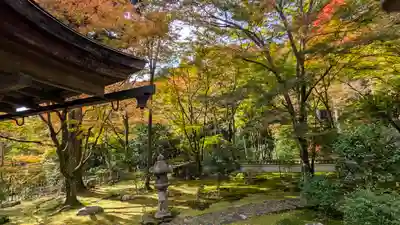 高山寺(京都府)