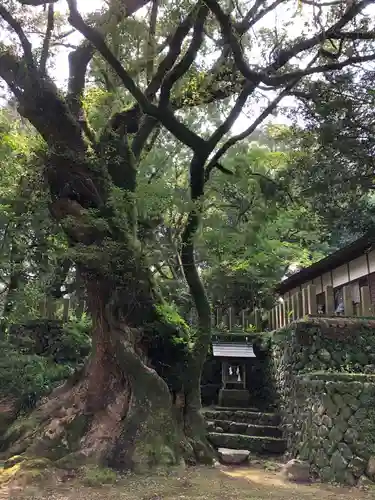 都萬神社の自然
