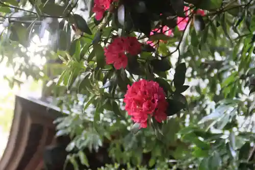 阿邪訶根神社の庭園