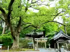 事任八幡宮の景色