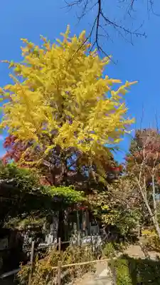 二尊院(京都府)