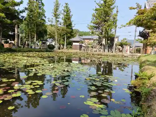丹生大師 神宮寺の庭園