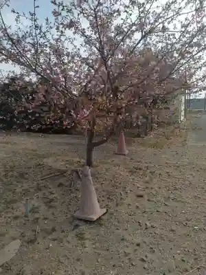 白山姫神社(宮城県)