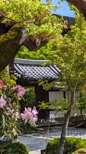 圓光寺(京都府)