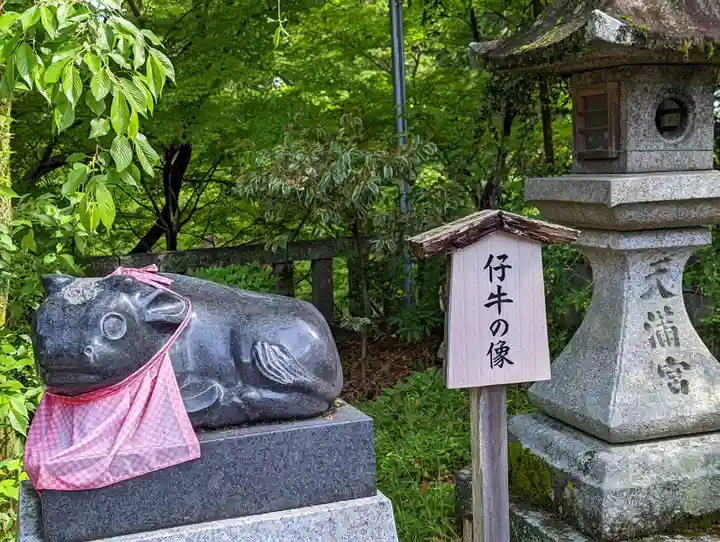 長岡天満宮(京都府)