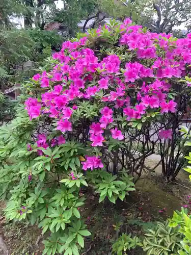 仙寿院(東京都)
