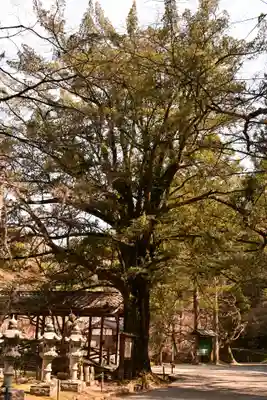 佛通寺(広島県)