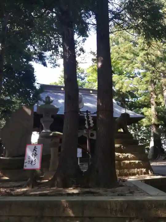 鹿島神社の自然