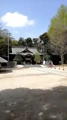 春日部八幡神社の本殿・本堂