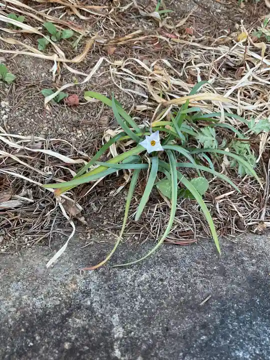 間々観音(龍音寺)(愛知県)
