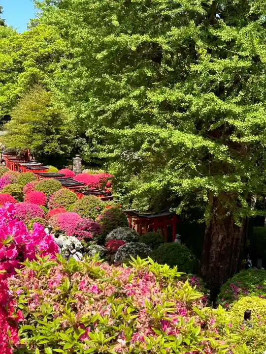 根津神社(東京都)