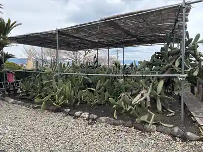 龍華寺(静岡県)