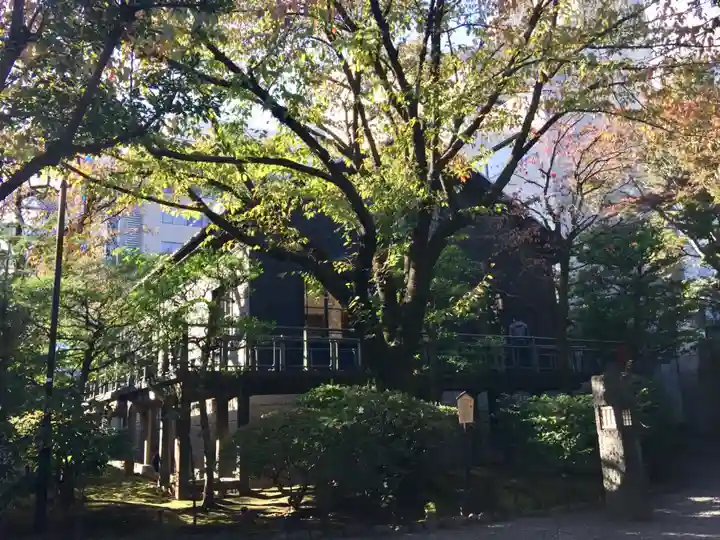 乃木神社の周辺