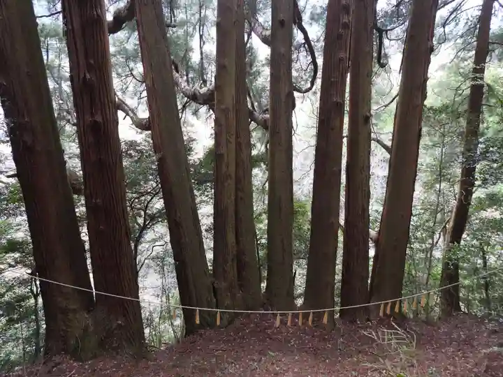 天岩戸神社(宮崎県)