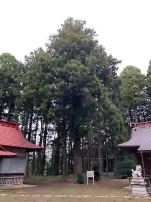 諏訪神社(千葉県)