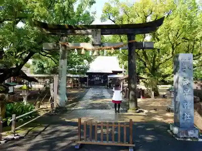 諫早神社(九州総守護 四面宮)の鳥居