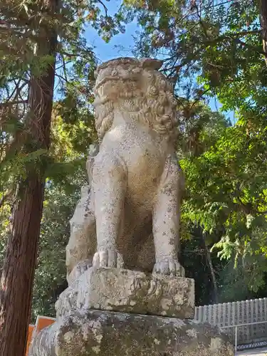 福山八幡宮の狛犬