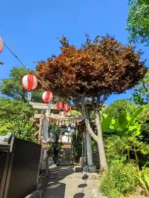 横浜御嶽神社の鳥居