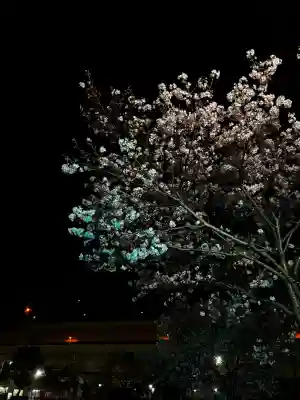 お三の宮日枝神社の{uncategorized: "未分類", other: "その他", undefined: "問題あり", building: "その他建物", grave: "お墓", sacred_gate: "鳥居", guardian: "狛犬", statue: "像", buddha: "仏像", history: "歴史", nature: "自然", garden: "庭園", animal: "動物", pagoda: "塔", temizu: "手水舎", mountain_gate: "山門・神門", sanctuary: "本殿・本堂", subordinate: "末社・摂社", art: "芸術", scenery: "景色", jizo: "地蔵", ema: "絵馬", goshuin: "御朱印", omikuji: "おみくじ", items: "授与品その他", amulet: "お守り", goshuincho: "御朱印帳", eats: "食事", festival: "お祭り", votive_dance: "神楽", shichigosan: "七五三参", wedding: "結婚式", experience: "体験その他", initially: "初詣", around: "周辺", anti_infection: "感染症対策"}